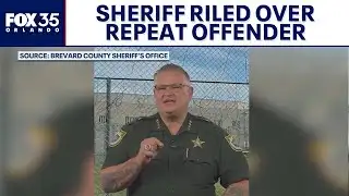 Florida Sheriff Wayne Ivey slams justice system after repeat offender arrested: ‘Enough is enough’