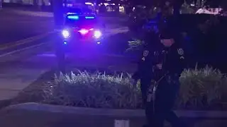 Florida therapist fatally stabbed by former client in Orange County office attack