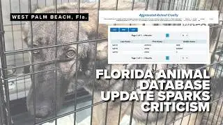 Florida updates animal abuse database after criticism; advocates say it’s still not enough