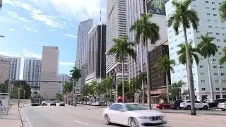 Florida voters react to Super Tuesday results