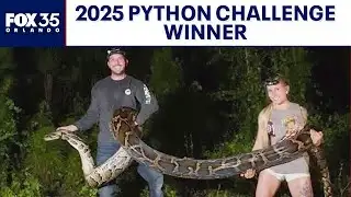 Florida woman wins 2025 Python Challenge after capturing 60 snakes
