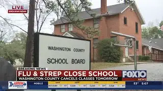 Flu and strep outbreak closes schools in Washington County