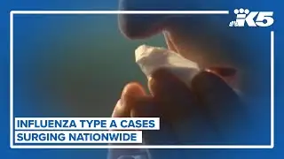 Flu cases surge as new strain mutates