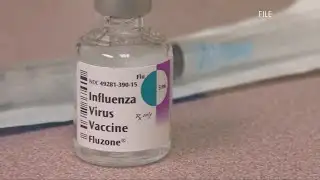 Flu Season Outlook | Here