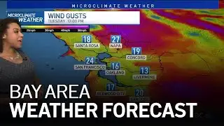 Forecast: Cool, Windy Day