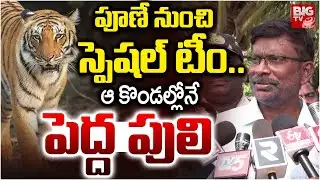Forest Cheif Officer About Rajahmundry Tiger | పూణే నుంచి స్పెషల్ టీం.. ఆ కొండల్లోనే పెద్ద పులి