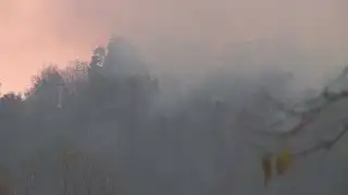 Forest Fires from the sky