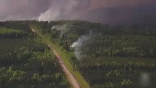 Forest fires rage in Argentina