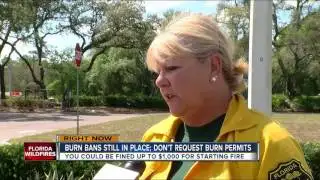 Forestry has answer for people asking for burn permits