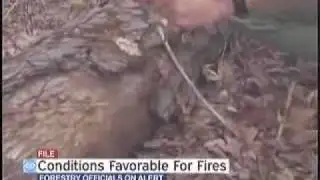 Forestry officials say conditions just right for fires