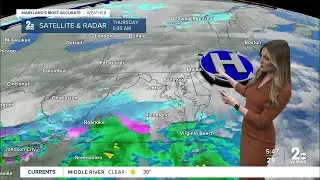 Forget the groundhog.  Stevie has your forecast