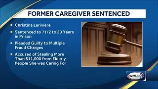 Former caregiver sentenced in fraud case