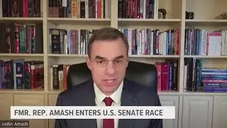 Former Representative Amash enters US Senate race