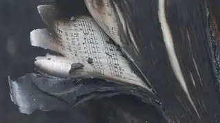 Forsyth County church destroyed by fire