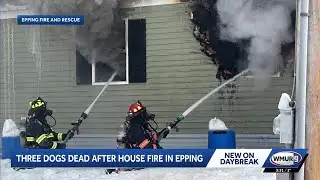 Four-alarm house fire in Epping kills 3 dogs