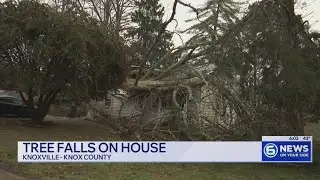 Four displaced after tree falls on house in Knoxville