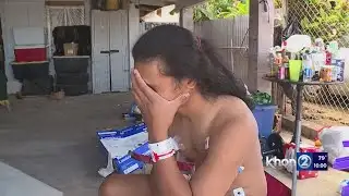 Four hospitalized in early morning Kalihi shooting