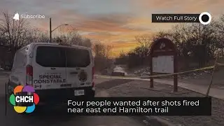 Four people wanted after shots fired near east end Hamilton trail