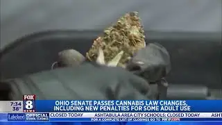 FOX 8 NEWS Cleveland Ohio Legislature Approves Marijuana Law Changes