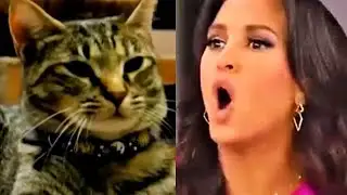 Fox Host LOSES HER MIND Over Cats On College Campus