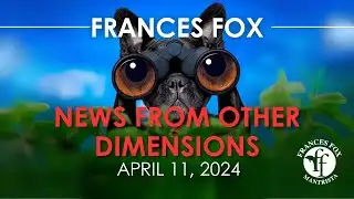 FRANCES FOX NEWS- PANIC ATTACKS-CHAOS