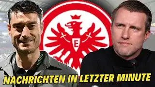 Frankfurt: Contract until 2028! Last-minute transfer update! Eintracht Frankfurt
