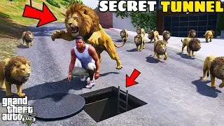 Franklin Found Secret Tunnel To Survive Lion Attack 