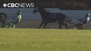 Fraser Downs closure shocks B.C. horse racing community