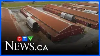 Fraser Downs closure shocks horse racing community