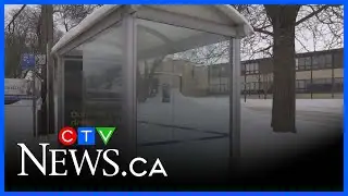 Free bus pass pilot program update