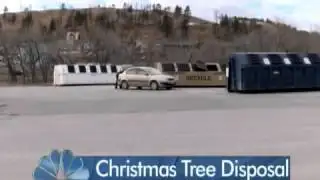 Free Christmas Tree Disposal