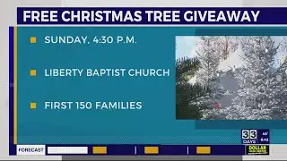 Free Christmas tree giveaway
