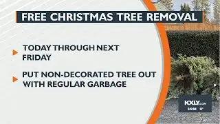 Free Christmas tree removal