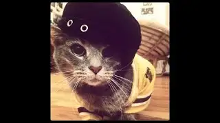 [free] fakemink + feng type beat - "lastdose"