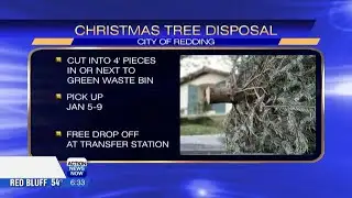 Free January tree disposal for Redding residents only