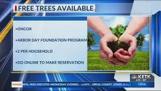 Free trees for Arbor Day