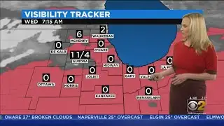 Freezing Rain On The Way, Dense Fog Lowering Visibility