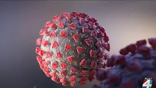 Friday marks 2 years since WHO declared COVID-19 a pandemic