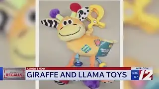 Friday Recalls: Arrowroot biscuits, giraffe and llama toys, e-bike bolts