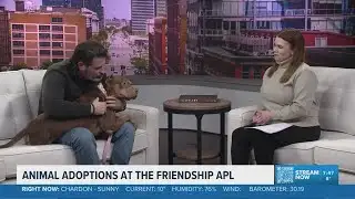 Friendship Animal Protective League visits 3News