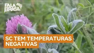 Frio intenso atinge Santa Catarina com temperaturas negativas