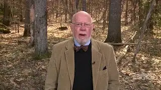 Fritz Wetherbee: Binky the Dude