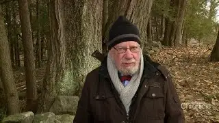 Fritz Wetherbee: To Get You In The House II