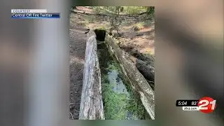 Frog Fire crews discover ponderosa trough