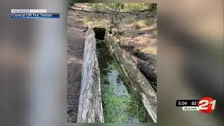 Frog Fire crews discover rare ponderosa trough