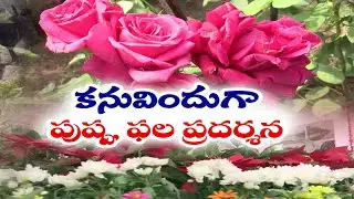 విజయవాడలో ఫల, పుష్ప మొక్కల ప్రదర్శన | Fruit & Flower Plant Exhibition in Vijayawada