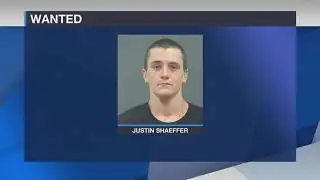 Fugitive Friday: November 8