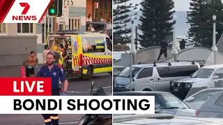 Full initial reporting of the Bondi Beach shooting (viewer discretion advised)