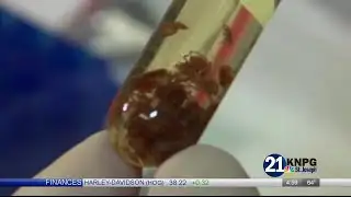 Funds needed for air traffic control tower