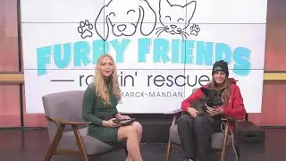 FURRY FRIDAY: Meet Butterscotch the dog